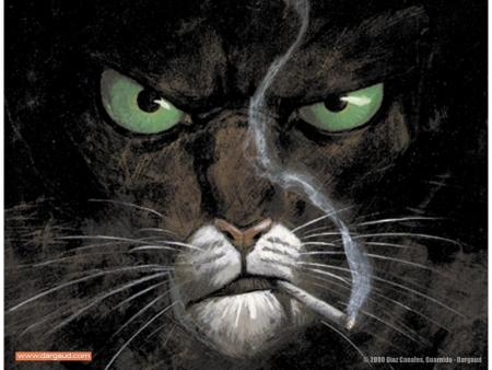 Quel regard !! 